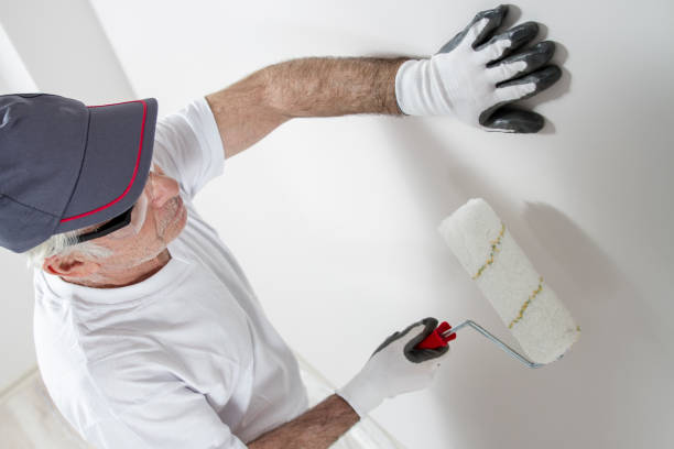 Best Water Damage & Mold Remediation  in Waihee Waiehu, HI