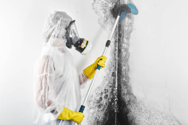Best Air Quality Testing for Mold Spores  in Waihee Waiehu, HI