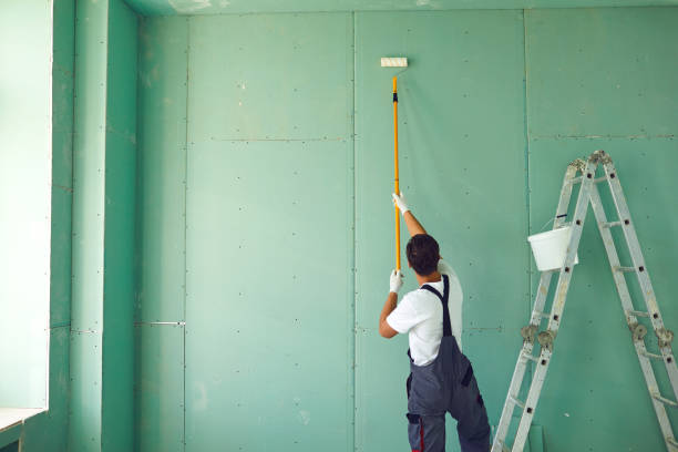  Waihee Waiehu, HI Mold Removal Pros
