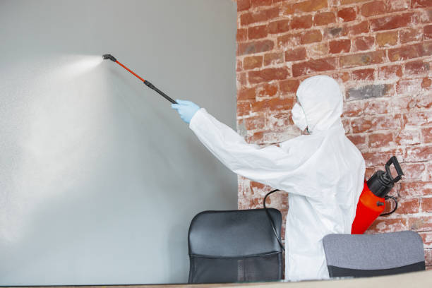 Best Mold Remediation for Healthcare Facilities  in Waihee Waiehu, HI