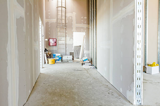 Best Commercial Mold Inspection  in Waihee Waiehu, HI